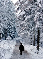 Winterparadies Ebbegebirge
